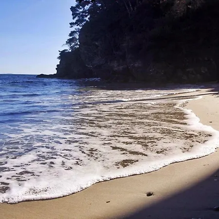 Paradise Cove *